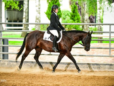 Maelys soul classic hunter under saddle
