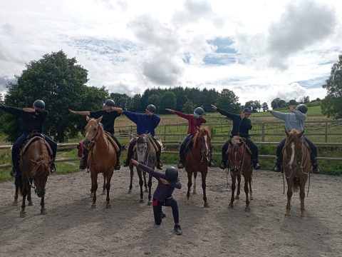 Dabcollectifcarriere